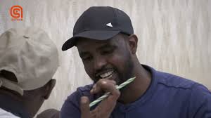 Barnaaamijka Qaraaxo