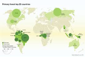 Tropical rainforest, luxuriant forest found in wet tropical uplands and lowlands near the equator. Primary Forest Top 20 Countries Grid Arendal