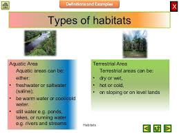 These plants (termed helophytes ) tolerate extended periods of waterlogging around the roots and even complete submersion under flood waters. What Are The Three Types Of Terrestrial Habitat