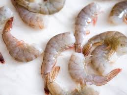 better shrimp