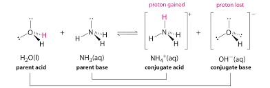 Strong and weak acids and bases. A Qualitative Description Of Acid Base Equilibriums