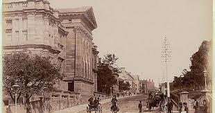 College Street Sydney Australian Museum C 1900 1910 Star Photo Co Sydney City New South Wales Photo