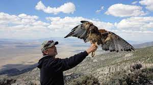 Wildlife Biology | U.s. Department Of The Interior