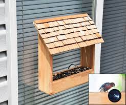 When you said you have a rustically styled home and wanted to keep the aesthetic of your bird feeder natural to match their tutorial shows you how to make a seed mixture that you can apply to hollowed spots in the branch so that birds can peck at them when they dry. Window Bird Feeder 13 Steps With Pictures Instructables