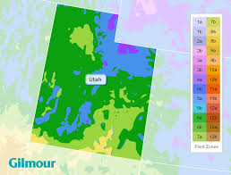 A simple scarring on the skin of the zucchini could already affect the taste. Utah Planting Zones Growing Zone Map Gilmour
