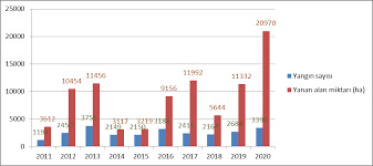 Türkiye'de orman yangınları grafiği 2020. 10 Soruda Orman Yanginlari Yesil Gazete Blog Gazetesi Son Dakika Haberleri Guncel Haberler