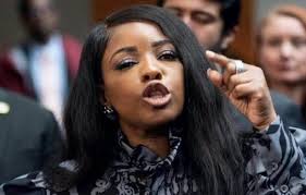 Criticism of politician's job performance