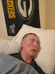 Sir biscuit fell asleep