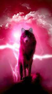 The gray and white walls have a blue undertone, which adds to the cooling mix of relaxing colors. Pink Wolf Wallpapers Top Free Pink Wolf Backgrounds Wallpaperaccess