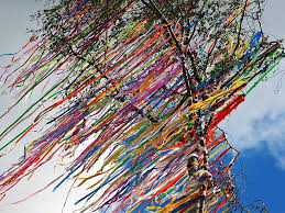 Image result for thin ribbon stools human poop