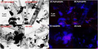 Iii⇒ die derzeit besten canon pixma ip 7200 treiber im test oder vergleich februar 2020 zum bestpreis kaufen kaufratgeber 3. Frontiers Metatranscriptomic Insights Into The Response Of River Biofilm Communities To Ionic And Nano Zinc Oxide Exposures Microbiology