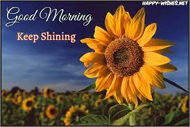 Now, if there's a chance that romance can find you. Yellow Sunflower Good Morning Novocom Top