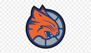 Share this to your sns: Charlotte Bobcats Alt Logo Hd Png Download 500x666 3864787 Pngfind