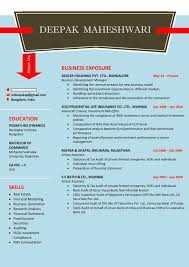 Resume Template 9 Business Development Resume Template Resume