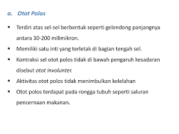 Tentukan jarak antara titik t dan o! Jaringan Tumbuhan Dan Hewan Ppt Download