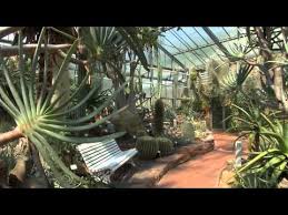 November 2020 seine türen für besucherinnen und besucher. Neuer Botanischer Garten Marburg Youtube