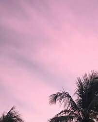 Pink And Black Aesthetic Black Aesthetic Aesthetic Pictures Pastel Aesthetic