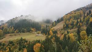 Guests can show their vocal talents while singing karaoke. File 61750 Hamsikoy Macka Trabzon Turkey Panoramio 1 Jpg Travel Guide At Wikivoyage