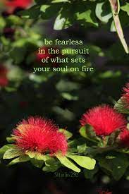 When you are going through hard times, finding inspiration is tough. Flowers And Photography Quotes White Butterfly And Yellow Flower Photograph By Humorous Quotes Dogtrainingobedienceschool Com