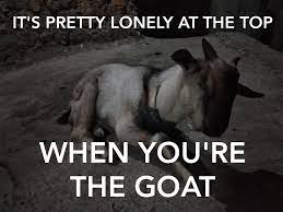 Sad Goat Memes