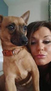 Lost Dog Found in Wyoming, MI Needs to Find Owner