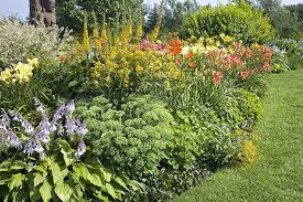 Southern california soils and water are usually alkaline. Pin By Charlotte Zamora On Outdoor Decor Ideas Drought Tolerant Landscape Shade Plants Drought Tolerant Plants
