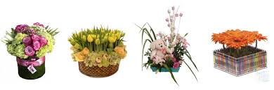 You can rely on your flower order being personally made by a talented professional. The 20 Best Options For Flower Delivery In Mexico Mexico City 2021
