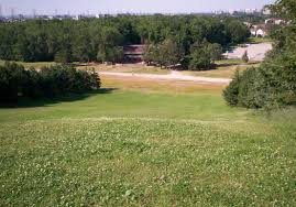 That's not a value judgment, it's an unfiltered observation: Centennial Park Toronto Wikipedia