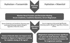 A Retrospective Evaluation Of Furosemide And Mannitol For Prevention Of Cisplatin Induced Nephrotoxicity Mach 2017 Journal Of Clinical Pharmacy And Therapeutics Wiley Online Library