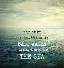 Then you will place your newly created salt water cure. The Cure For Anything Is Salt Water Sweat Tears Or The Sea Isak Dinesen Water Quotes Salt And Water The Cure