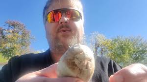 Please, feed the bear.