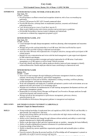 12 city west business park, st johns road, meadowfield, durham, dh7 8er organisational relationships: Senior Hr Manager Resume Samples Velvet Jobs