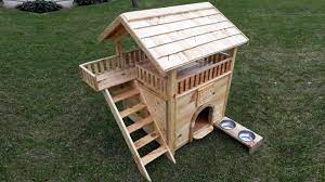 Kopek Kedi Evi House Kedi Kopek