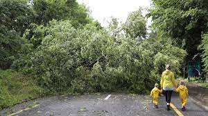 Allgemeine informationen und dienstleistungen der schweizer. Luzern Heftiges Gewitter Hinterlasst Spur Der Verwustung