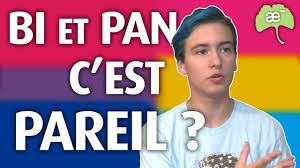 Bi Ou Pan Quelle Difference Ae Youtube