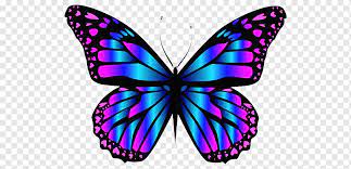 ❤ get the best purple butterfly wallpapers on wallpaperset. Butterfly Purple Blue Color Purple Butterfly Purple Blue Animals Png Pngwing