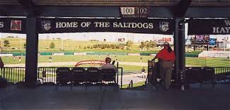 Nlfan Com Lincoln Saltdogs Tickets Seating