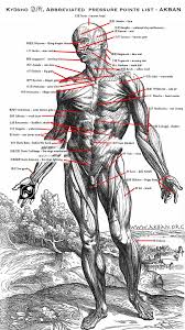 kyusho pressure point akban wiki