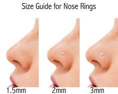 Nose Ring Size Chart Dogmaticblog Com