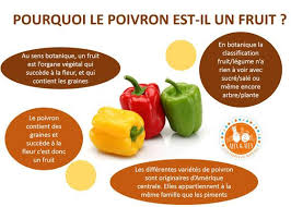 Le Poivron Fruit Ou Legume