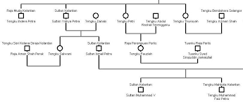 The title was introduced by sultan badlishah on 13 may 1943. Johor Royal Family Tree