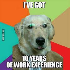 Your meme was successfully uploaded and it is now in moderation. In Dog Year As A Fresher Looking For New Job This Struggle Is Real 9gag