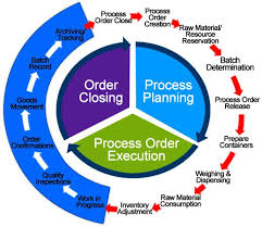 Sap Pp Production Planning Module Online Training How