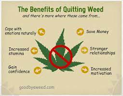 Researchers aren't sure if intense dreaming after quitting weed is due to the symptoms themselves, disruption of neurotransmitter release within the brain's sleep center or a combination of both. Positive Effects Of Not Smoking Weed What Are The Positive Effects Of Smoking Weed Greenito