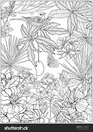 Tropical beach tropical island coloring page. Tropical Macaw Coloring Pages