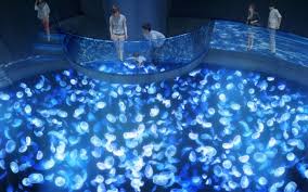 Sumida Aquarium S New Jellyfish Chamber Is The Dreamiest Place In Tokyo Right Now