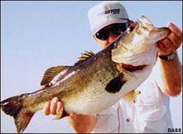 Pound is the fourth most traded currency in the foreign. 2006 July August Lunker Club Bassmaster