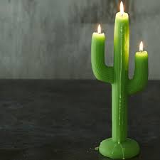 Cactus Candle Cactus Candles Candles Table Top Decor