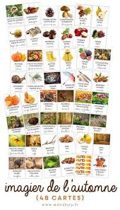 Grande Recap D Automne Livres Imagier Activites Coloriages Jeux Activites Automne Maternelle Fruits D Automne Et Activite Automne