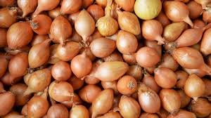 فوائد قشر البصل herbal medicine herbalism benefits of onion